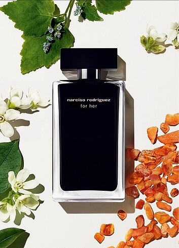Beden Lancome İdole Narciso Rodriguez For Her Edt Prada Paradoxe 10 ar