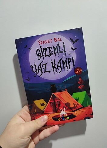 Gizemli Yaz Kampı - Çocuk kitapları