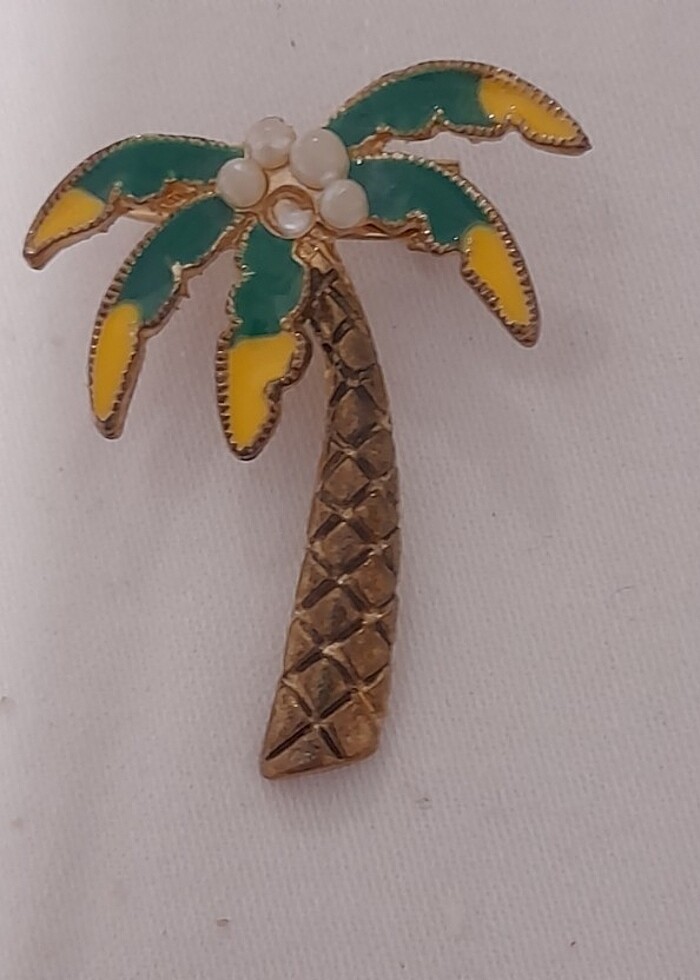 Jimmy Key yaka ignesi - Görsel 2