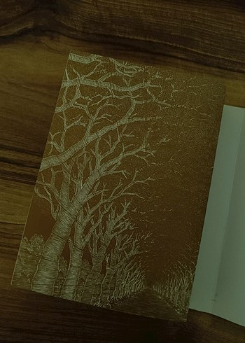  Beden İnsanlığımı Yitirirken - Junji Ito