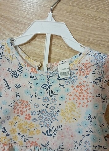 LC waikiki