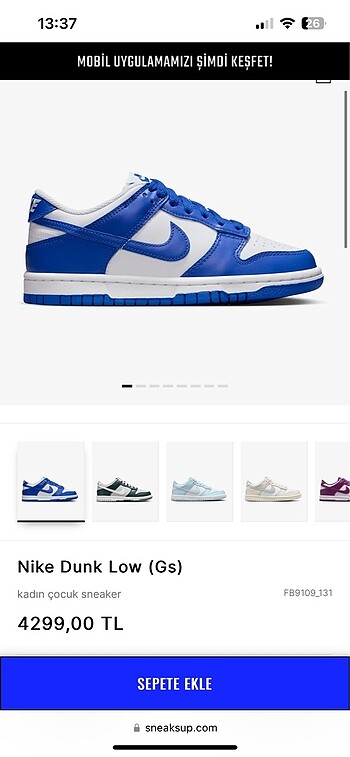 Nike dunk low mavi