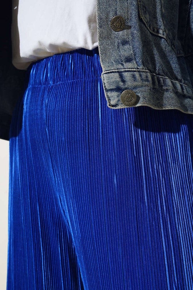 Saks Mavisi Pileli  Kadın Pantolon - Görsel 3