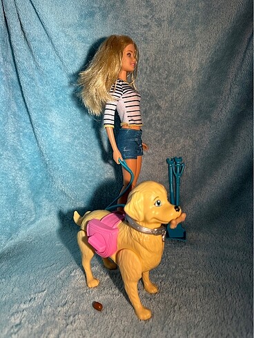 Barbie Barbie Köpek Gezdirmesi&Tuvaleti (dwj68)