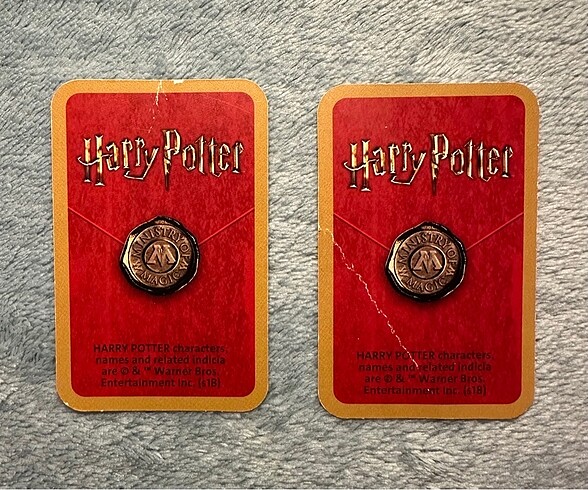 Harry Potter Labyrinth Oyunu - Görsel 9