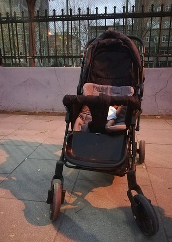 Siyah Bebek Arabası - Görsel 5