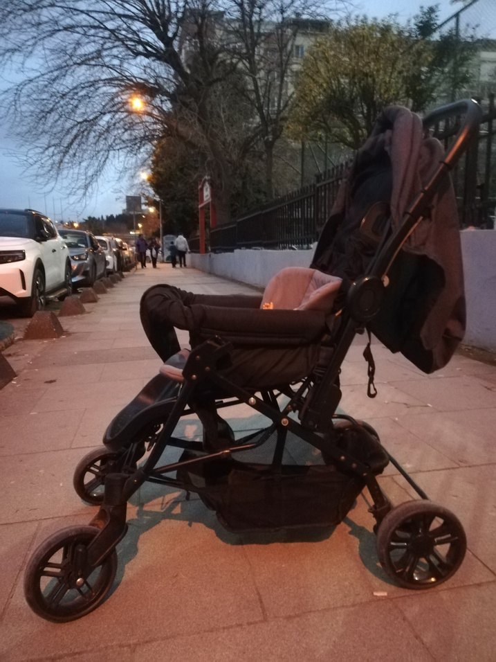 Siyah Bebek Arabası - Görsel 2