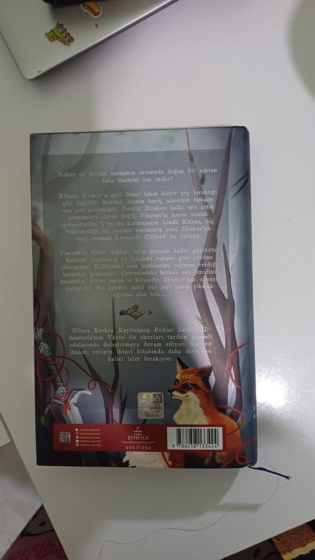 Kaybolmuş Ruhlar Sarayı 2 ciltli
 - Senteria'nın Varisi - Görsel 2