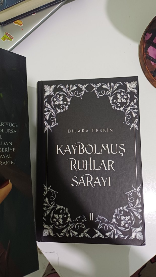 Kaybolmuş Ruhlar Sarayı 2 ciltli
 - Senteria'nın Varisi - Görsel 3