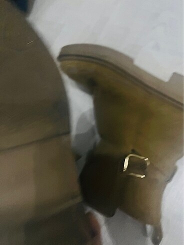 37 Beden Zara bot