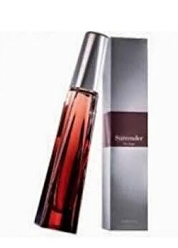 Avon erkek parfüm 