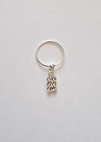 GÜMÜŞ HALKA HIZMA - Görsel 2