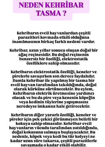 Damla Kehribar Kedi Tasması - Görsel 2