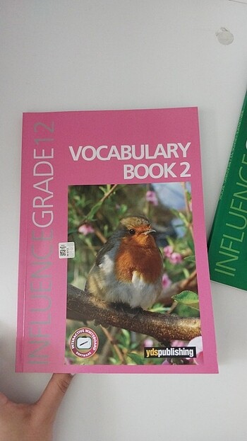 ydspublishing vocabulary book 2 