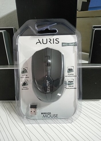 Mouse 