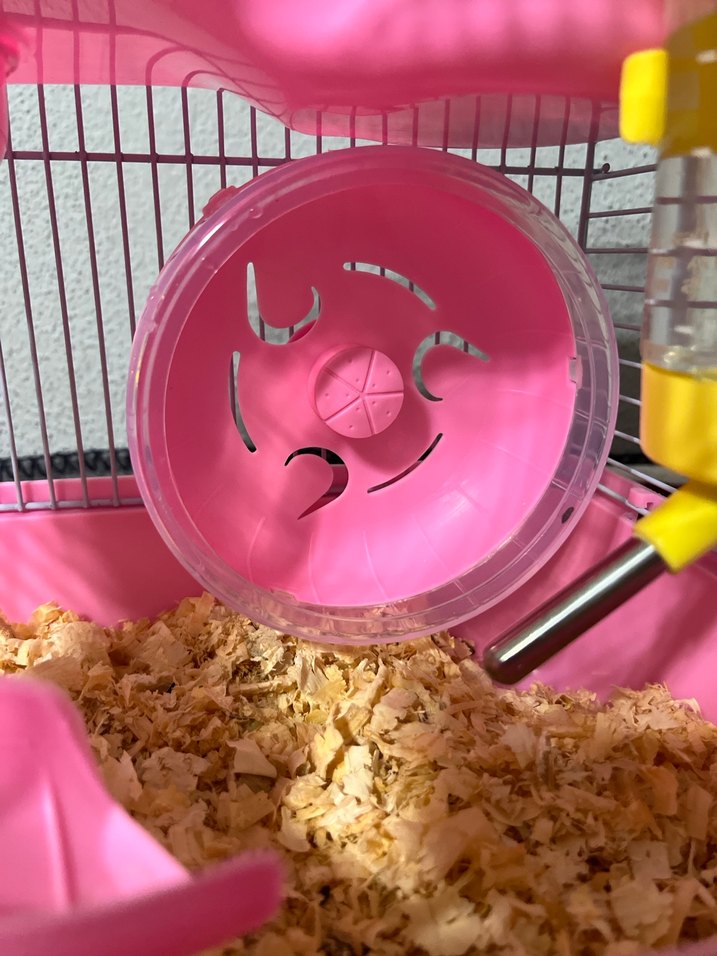 Pembe Küçük Evcil Hayvan Kafesi - Görsel 2