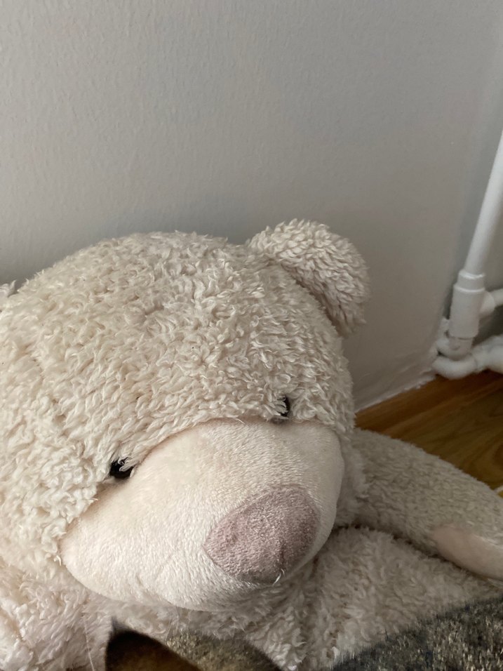 Gri Peluş Ayı Temalı Kedi Yatağı Çocuk odası oyuncağı - Görsel 4