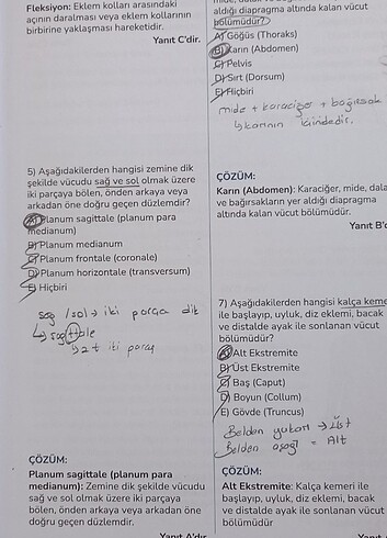  Beden Çocuk Gelişimi 1.sınıf Notcopy yayını 