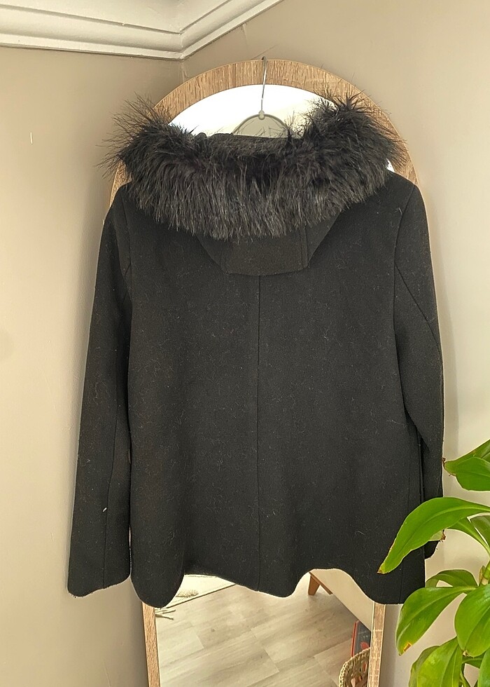 Bayan kaban - Görsel 2