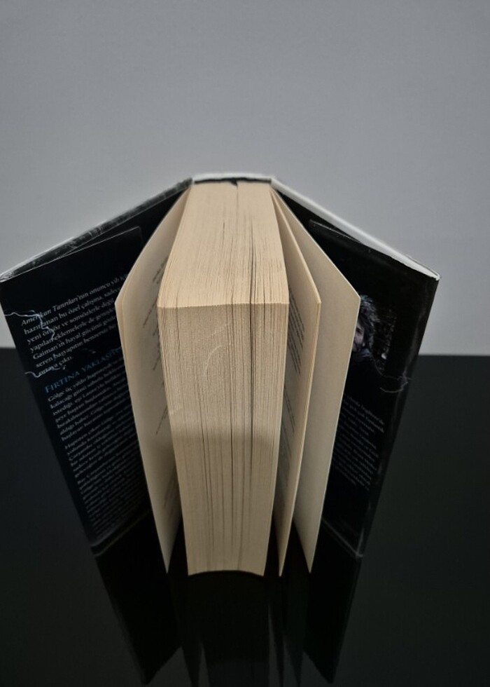 Amerikan Tanrıları (Ciltli); Onuncu Yıl Edisyonu Kitap - Görsel 3