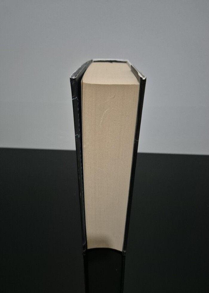 Amerikan Tanrıları (Ciltli); Onuncu Yıl Edisyonu Kitap - Görsel 5