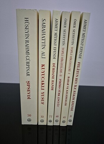 Türk Edebiyatı Klasikleri Kitap Seti - Görsel 3