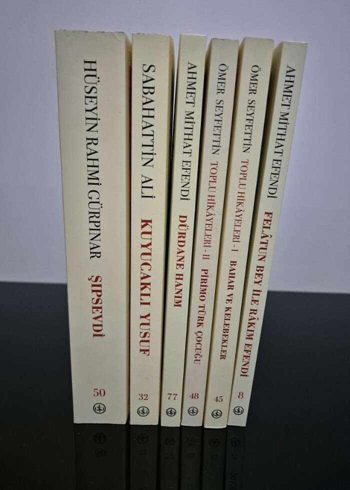 Türk Edebiyatı Klasikleri Kitap Seti - Görsel 3