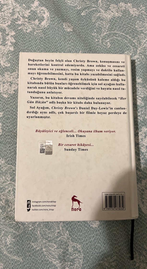 Sol Ayağım - Christy Brown - Görsel 2