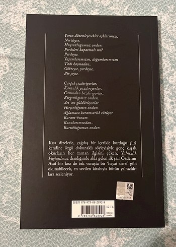 Yalnızlık Paylaşılmaz - Özdemir Asaf - Görsel 2