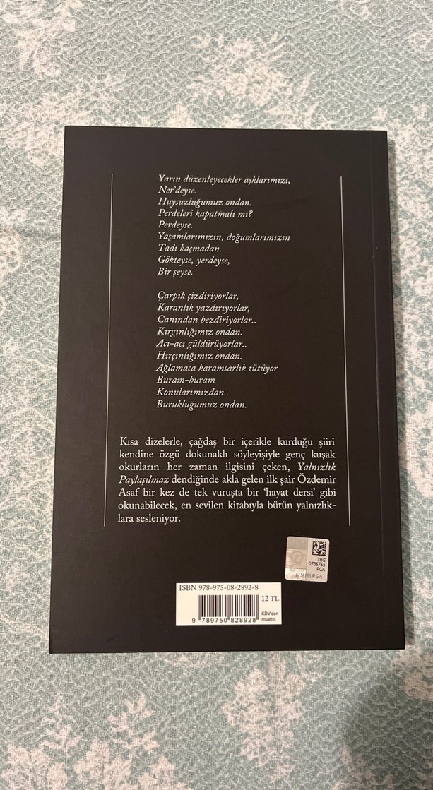 Yalnızlık Paylaşılmaz - Özdemir Asaf - Görsel 2