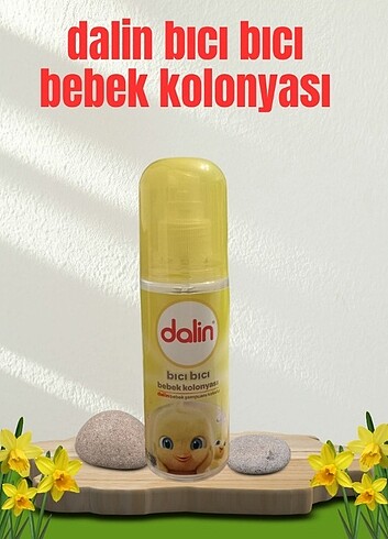 Dalin bebe kolonyası 