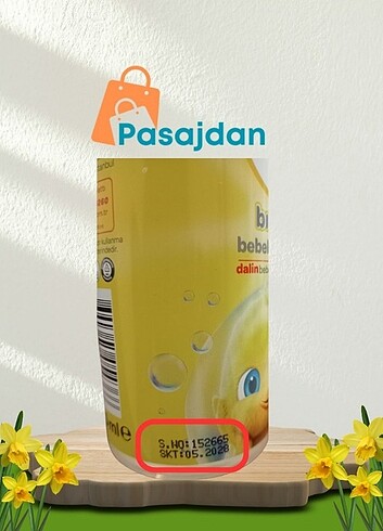 Beden Dalin bebe kolonyası
