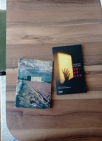 Fareler ve İnsanlar J.Steinback/ Dönüşüm F.Kafka