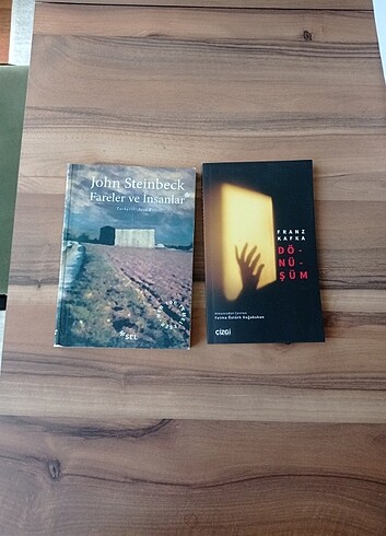 Beden Renk Fareler ve İnsanlar J.Steinback/ Dönüşüm F.Kafka