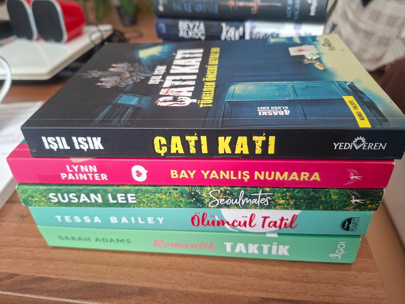 Çatı Katı ve Diğer Romanlar Seti - Görsel 2