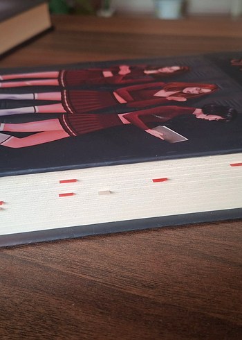 N.G. Kabal'dan SOBE ve Saklambaç  Romanları - Görsel 10