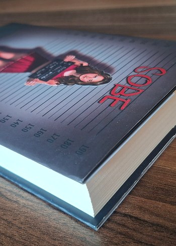 N.G. Kabal'dan SOBE ve Saklambaç  Romanları - Görsel 17