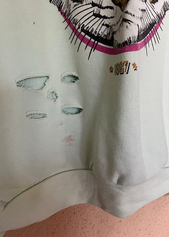 Diğer Su Yeşili Kaplan Baskılı Kadın Sweatshirt