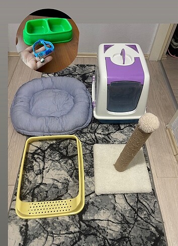 Kedi yatağı ve eşyaları