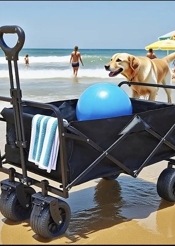 Maxi Vagon Araba (Kalın Teker Masalı) - Görsel 7