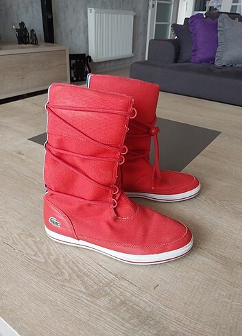 37 Beden Lacoste bot