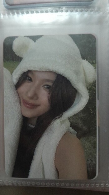 Bear sana