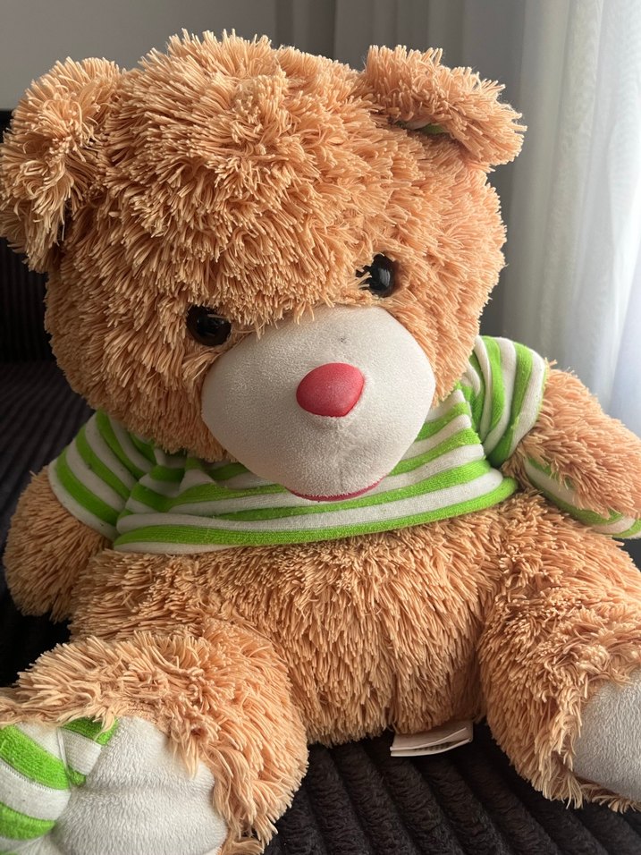 Çizgili Tişörtlü Kahverengi Peluş Ayı - Görsel 3