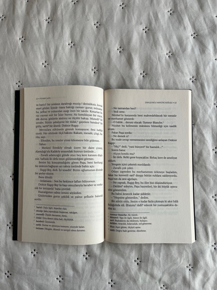 Dokuzuncu Hariciye Koğuşu - Peyami Safa - Görsel 3