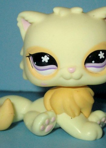 ARIYORUM - Görsel 12