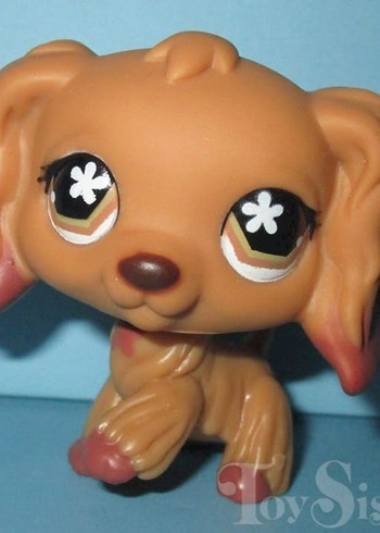 ARIYORUM - Görsel 6