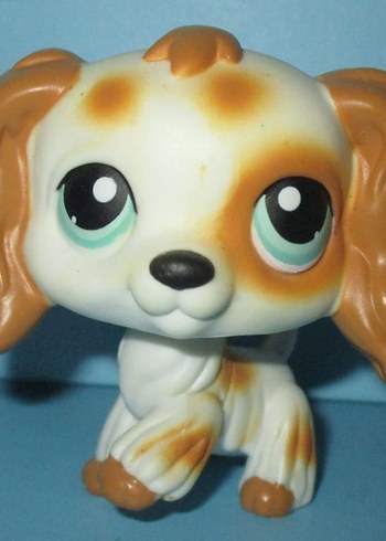 ARIYORUM - Görsel 8