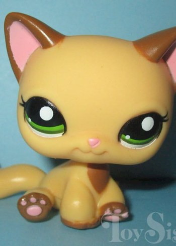 ARIYORUM - Görsel 16