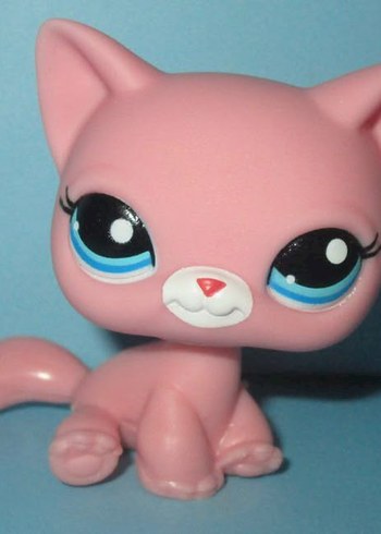 ARIYORUM - Görsel 15