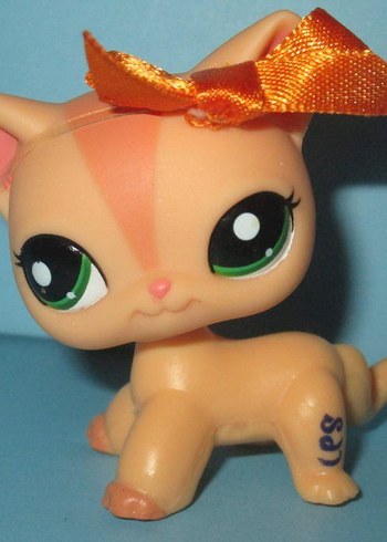 ARIYORUM - Görsel 2